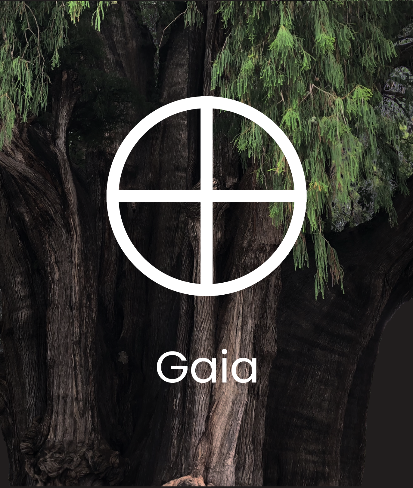 GAIA